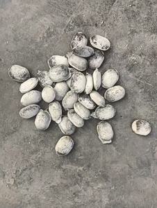 For Rice Husk Wood <strong>Sawdust</strong> and Agricultural Waste for Producing Various Spherical Carbon Block Ball <strong>Briquette</strong> <strong>Machine</strong> - Product Image 5