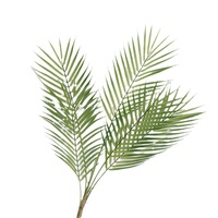Plante artificielle de palmier Areca de style nordique inspirée d'Instagram, 30cm-100cm, accessoires de mur végétal en plastique pour vitrines