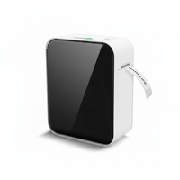 Imprimante d'étiquettes thermique portable Marklife P15 Mini sans fil intelligente couleur à transfert thermique avec papier thermique en stock
