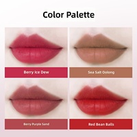 Rouge à lèvres liquide mat velours effet brume d'eau, certifié HALAL, végétalien, waterproof, naturel, haute pigmentation, minéral, fabriqué en Chine, 3,2g
