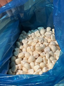 Ajo Congelado de Alta Calidad, Cosecha 2026, Certificado BRC(A) ISO22000, Ideal para Sazonar y Procesamiento Industrial de Alimentos - Product Image 4