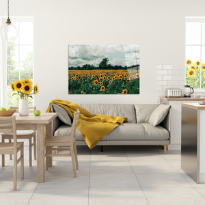 Impresión en lienzo de campo de girasoles: arte de pared para cocina con paisaje natural, arte en vidrio templado - Product Image 3