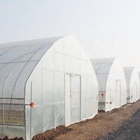 Serre commerciale agricole à travée unique GT Serre à tunnel