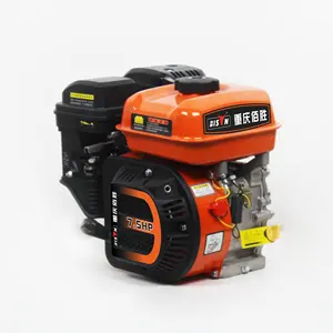 Bison New Arrivals Air-cooled 4-stroke 170F Gasoline Petrol 7Hp Engine For Generator