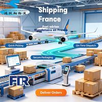 Agente de Transporte, Francia, Transporte Aéreo, Marsella, Aeropuerto de Lyon-Saint Exupéry, Logística Express, Seguimiento, Transporte por Carretera