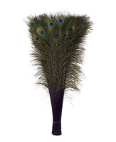 Plumes de paon à œil enfilé naturel à vendre fête carnaval maison mariage pièce maîtresse noël Vase vacances décor bricolage artisanat Floral