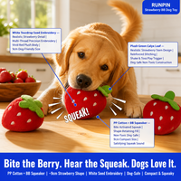 Puppy Chew Piepend hondenspeeltje Duurzaam bijtbestendig Interactief geluidsspel Verveling verlichten Kleine rassen
