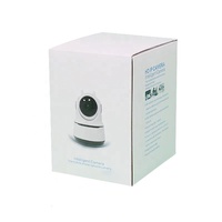 Caméra sans fil Smart Home Surveillance vidéo Sécurité Mini caméra Boîte d'emballage en papier