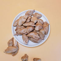 Vente en gros de friandises pour animaux de compagnie lyophilisées Cœur de poulet lyophilisé Friandise pour chat lyophilisée Friandise pour chien Nourriture pour chien Friandises pour chien Vente en gros