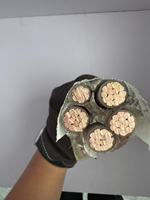 Cable Industrial Flexible con Aislamiento XLPE y Núcleo de Cobre, Clasificación IP66, para Uso en Electrodomésticos y Construcción