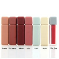 Tube de brillant à lèvres carré personnalisé 6ml Récipient en plastique Finition en caoutchouc givré Disponible en couleurs Brillant à lèvres vide de marque privée