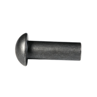 Rivets aveugles ronds en acier inoxydable poli, plaqués zinc, tailles personnalisées, rivets industriels, attaches