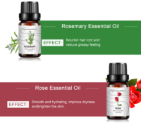 Aceite Esencial de Lavanda 100% Puro y Natural, 8 Aromas, 10 ml, Precio al por Mayor, Suministro del Fabricante, OEM, Navidad