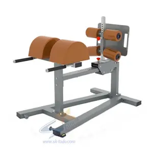 Good Quality Commercial Multi-purpose Gym Bench Adjustable Hyperextension