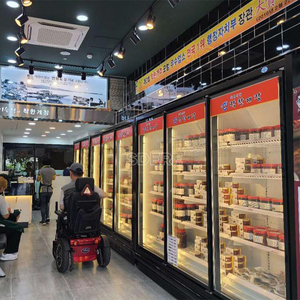 2/3/<span class=keywords><strong>4</strong></span>/5/6 cửa tủ lạnh cửa kính tủ lạnh tủ lạnh thương mại - Product Image 6