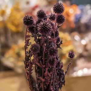 Bouquet d'échinops artificiels séchés et préservés, arrangement de fleurs bleu sarcelle pour les occasions de remise des diplômes et de Noël - Product Image 3