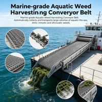 Chaîne de transmission robuste en acier inoxydable pour la récolte de plantes aquatiques à grande échelle sur navire, fonctionnement continu de convoyeur