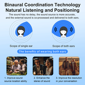 Sản phẩm bán chạy nhất có thể sạc lại không có tiếng còi khuếch đại giọng nói rõ ràng & tiếng ồn hủy bỏ máy trợ thính cho người điếc - Product Image 5