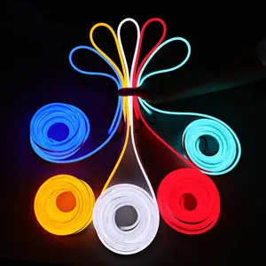 Cina fabbrica PVC IP68 led corda tubo luce flex neon impermeabile RGB silicone Led Ultra sottile Neon Flex corda luce
