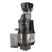 Klantspecifiek logo brede opening 250W slowjuicer extractor van roestvrij staal, commerciële koudpers juicer met reverse functie