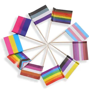 迷你变性双性恋泛性进步彩虹同性恋骄傲牙签旗帜派对装饰