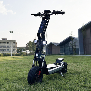 13inch Ecorider Adult Fast Foldable Off Road Dual Motor <strong>Electric</strong> <strong>Scooter</strong> - Product Image 1