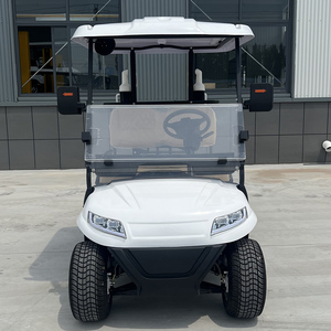 Hot Selling 2-seater Golf Cart Customized for Golf with 48V/60V/<b>72V</b> <b>Batteries</b> and CE Certification - Product Image 2