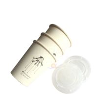 Gobelet jetable en canne à sucre 12oz, gobelet en papier PLA avec couvercle
