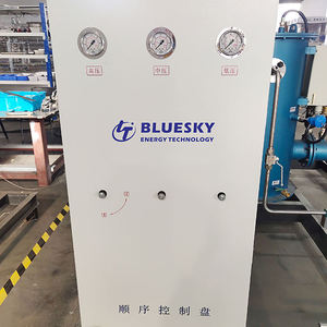 Bluesky เครื่องจ่ายก๊าซธรรมชาติอัดก๊าซ (CNG) สำหรับใช้ในบ้านสถานีเติมอุปกรณ์สำหรับบริการสถานี - Product Image 5