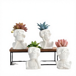 Succulent Potted Ceramic Glazed Flower <b>Pot</b> <b>White</b> Porcelain Cartoon Skull Design Personalized Eco-Friendly Indoor Outdoor Use - Product Image 2