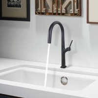 Robinet de cuisine moderne à poignée unique extractible