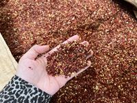 Flocons de piment naturel séché et cru, transformés selon le procédé AD, pour la transformation alimentaire et l'assaisonnement