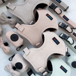 メーカーカスタム おとぎ話テーマ 犬用首輪 リード 引っ張り防止ハーネスセット カボチャの馬車と城柄デザイン ペット向け - Product Image 3