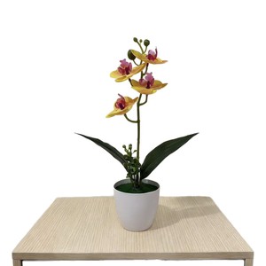 Orchidée Phalaenopsis Artificielle Paulon, 31 cm de haut, pot rond, décoration intérieure, plante en plastique, bonsaï, décoration de la maison - Product Image 5