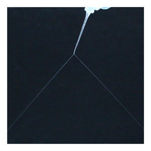 SN005-32 ZOGEAR dentale monouso 27g 30g doppio fori Pre-piegata <span class=keywords><strong>Endo</strong></span> punta dell'ago per irrigazione - Product Image 2