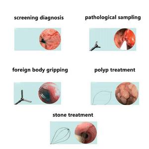 Endoskopi Dokter Hewan, Endoskopi Dokter Hewan Resolusi Tinggi - Product Image 3
