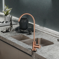 Robinet de cuisine et salle de bain moderne classique à poignée unique en céramique, avec douchette extractible et fonction de dosage, finition brossée en acier inoxydable pour montage sur plan.