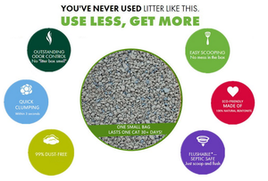 Lettiera per Gatti Ecologica OEM da 30L Profumata alla Lavanda con Controllo degli Odori e Bassa Produzione di Polvere - Product Image 2