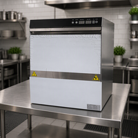 Lave-vaisselle professionnel sous comptoir, fabrication OEM/ODM, conception personnalisée, acier inoxydable 304, haute efficacité, pour le marché mondial
