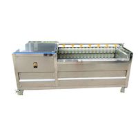Drooglijn Gebundelde Was Automatische Fruit-En Bladgroente Knoflook Aardappelreinigingsmachine Ui Palmdata Wasmachine Leveranciers