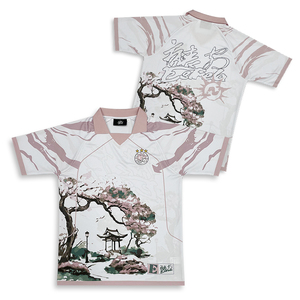 Camiseta de Fútbol Personalizada con Diseño de Moda, Logotipo Bordado, Patrón de Transferencia Térmica, Cuello Polo, Ligera, de Secado Rápido y Transpirable - Product Image 1