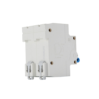 DZ47Z-125 disjoncteur Miniature d'origine haute puissance 2P interrupteur d'air 125A Protection contre les courts-circuits de surcharge alimentation d'usine 10KA