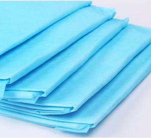 Effective <b>Puppy</b> Cat Potty Training Mats Travel-Friendly Changing <b>Pads</b> for Home Protection for Dog Housebreaking Training S33*45 - Product Image 1