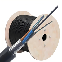 Kabel Drop Fiber Optik DMIS Self-Supporting Butterfly Single Mode Outdoor Bebas Halogen (LSZH) Tahan Api