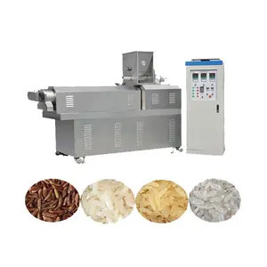 100 kg/saat gıda sınıfı otomatik pilav makinesi işleme hattı zenginleştirilmiş pirinç yapma makinesi fiyat
