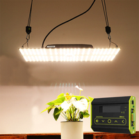 Smart Led élèvent le rhéostat léger de Dimmable de contrôleur pour la serre chaude hydroponique