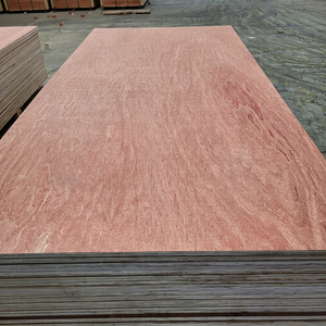 Contrachapado Comercial de Madera Dura Roja de Alta Calidad, Modelo 4x8, Precio Competitivo, 12 mm, Okoume E2 - Product Image 1