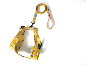 ชุดสายจูงปลอกคอสัตว์เลี้ยงสายจูงแมวและสายจูงสุนัขเชือกหนัง LED แบบยุทธวิธีสายจูงสุนัขแบบปรับแต่งได้ - Product Image 3