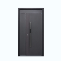 Portes de sécurité pour entrée de maison, porte extérieure pivotante, serrure intelligente numérique, porte de sécurité en acier imperméable, portes extérieures doubles