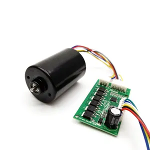 TT Factory Proveedor mayorista 36mm alto RPM BLDC motor para cortacésped 12V 24V Motor de CC sin escobillas con controlador